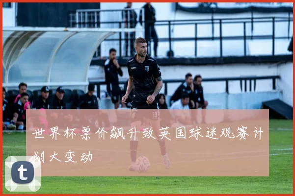 世界杯票价飙升致英国球迷观赛计划大变动